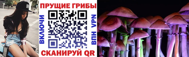 Галлюциногенные грибы MAGIC MUSHROOMS shop Telegram Карабулак дарнет шоп