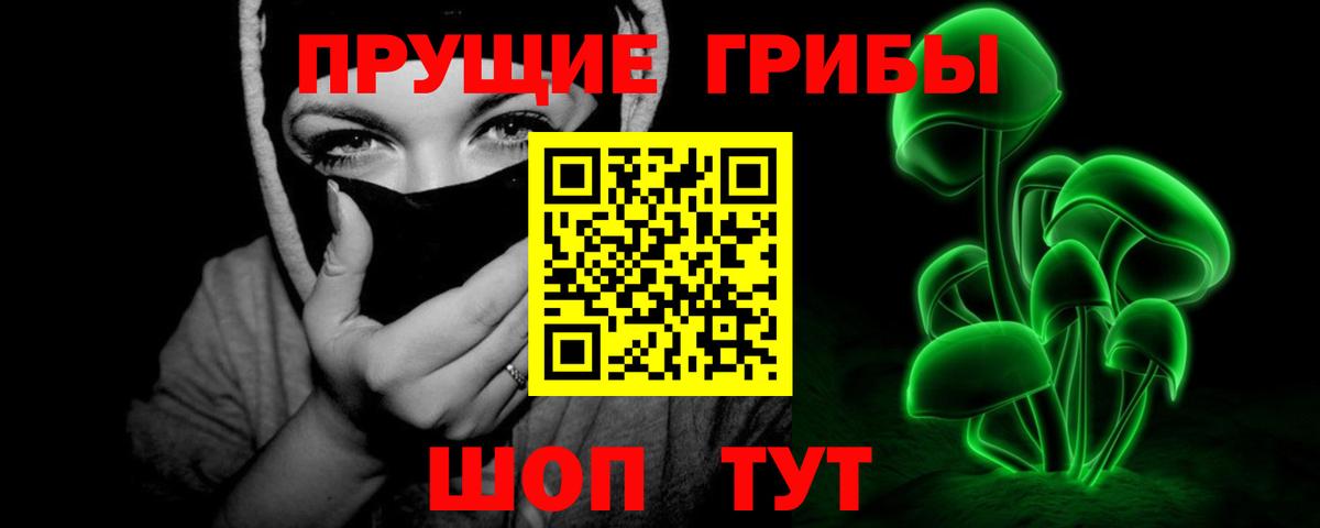 Карабулак  Галлюциногенные грибы Psilocybine cubensis  Вход с VPN 